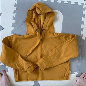 Mustard crop sweater